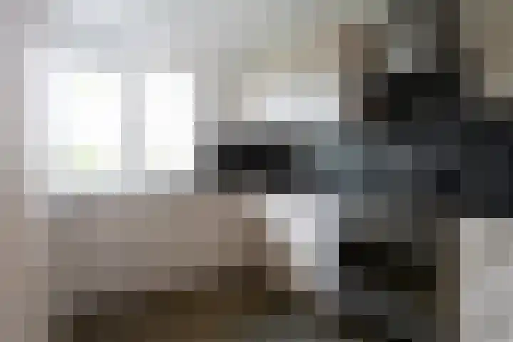 Hemonystraat 32 C Amsterdam thumbnail 11