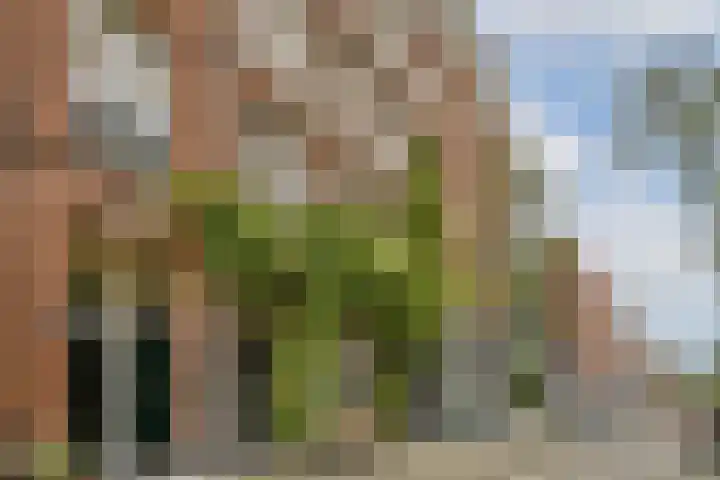 Hemonystraat 38 1 Amsterdam thumbnail 30