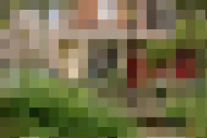 Hemonystraat 38 1 Amsterdam thumbnail 32