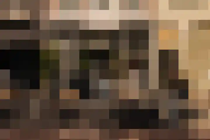 Hemonystraat 46 H Amsterdam thumbnail 23