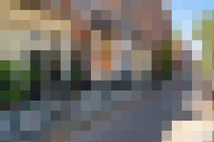 Hemonystraat 48 3 Amsterdam thumbnail 22