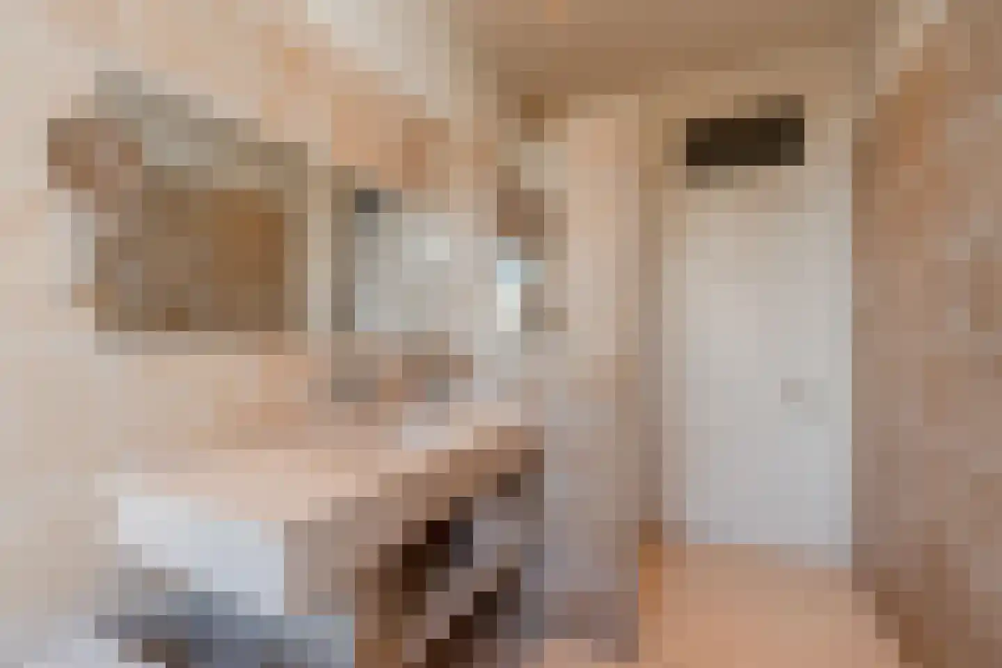 Hemonystraat 5 2 Amsterdam thumbnail 22