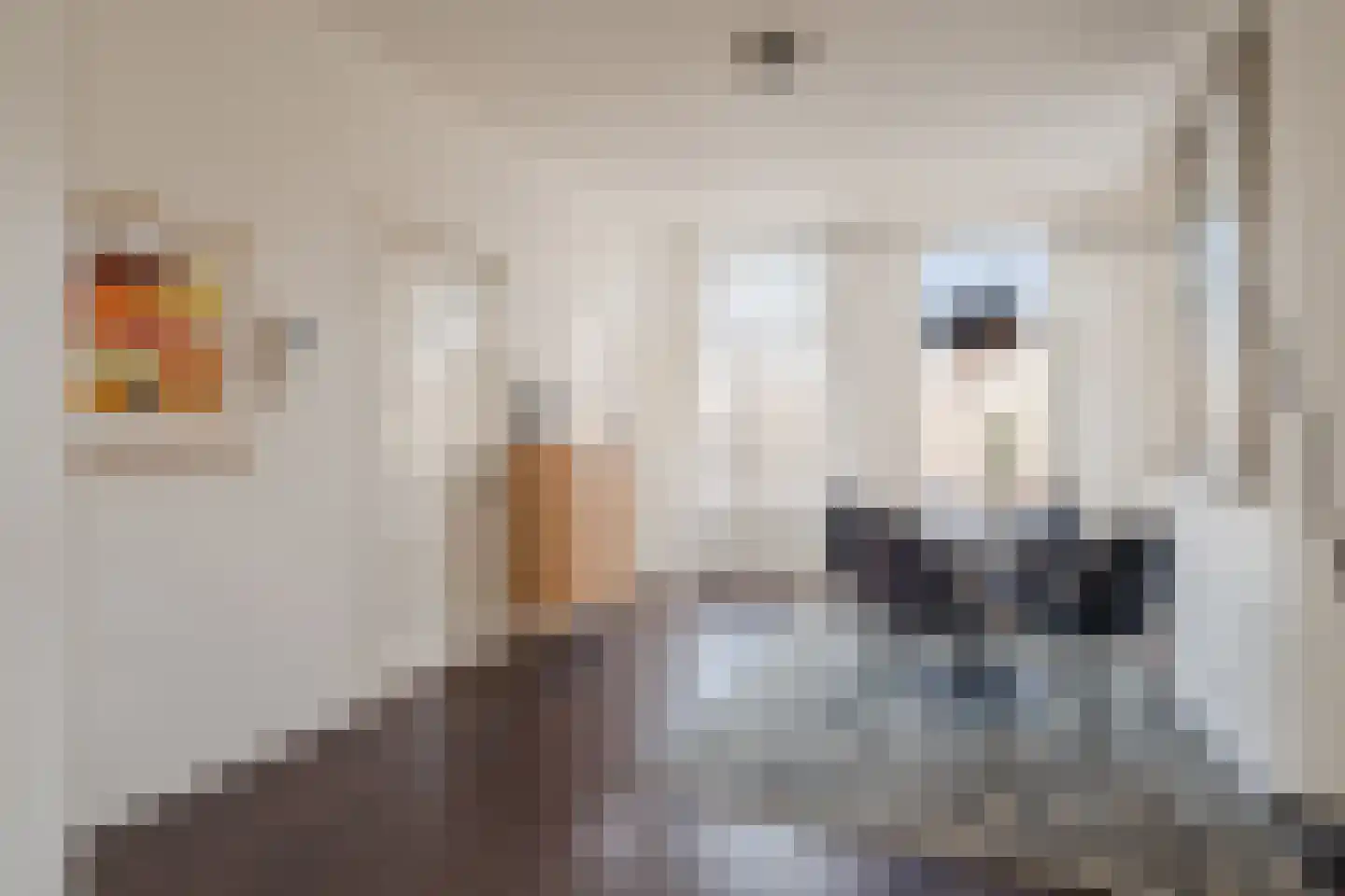 Hemonystraat 5 2 Amsterdam thumbnail 29