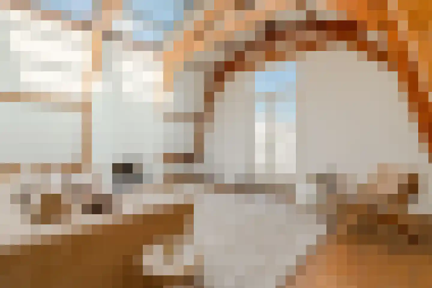 Hemonystraat 5 2 Amsterdam thumbnail 4