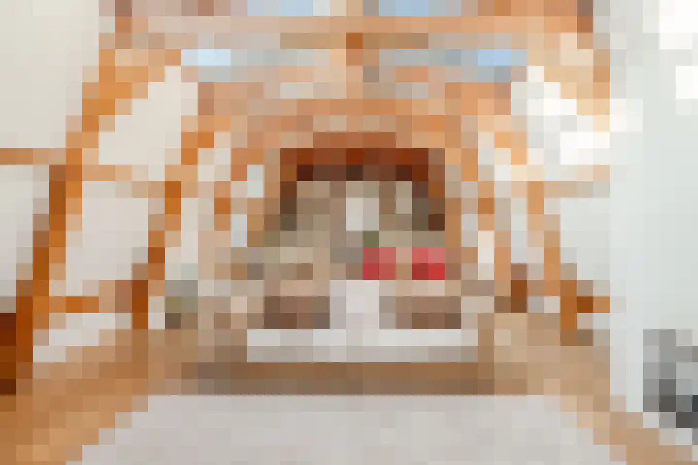 Hemonystraat 5 2 Amsterdam thumbnail 7