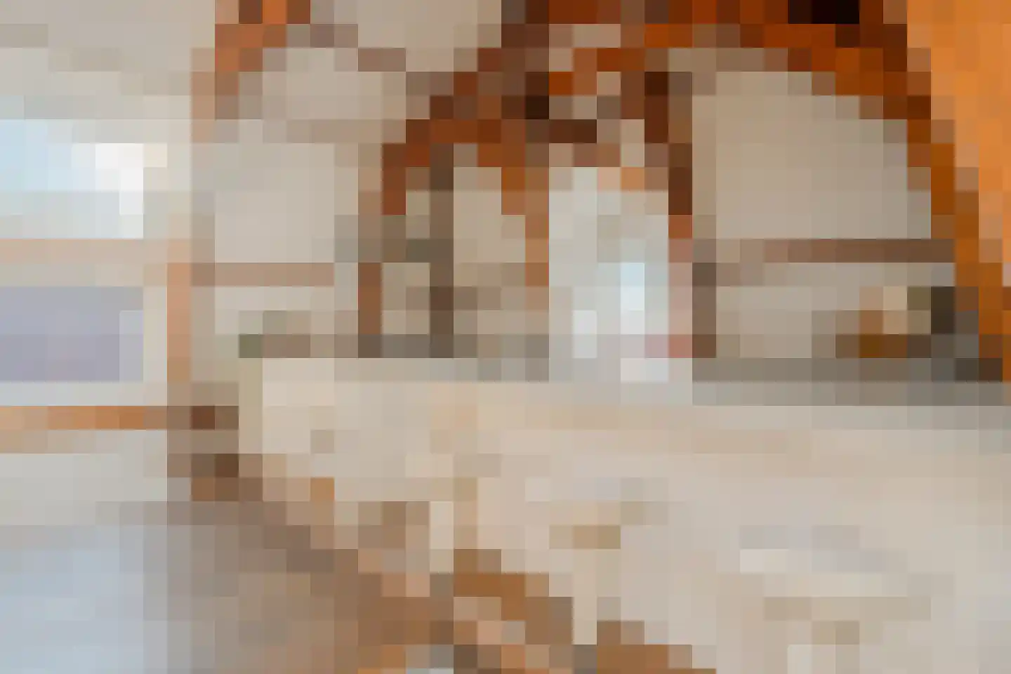 Hemonystraat 5 2 Amsterdam thumbnail 8