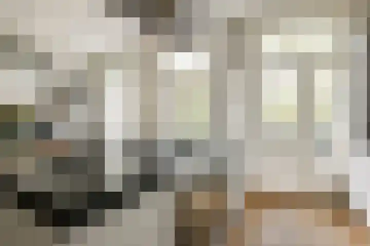 Hemonystraat 62 3 Amsterdam thumbnail 13