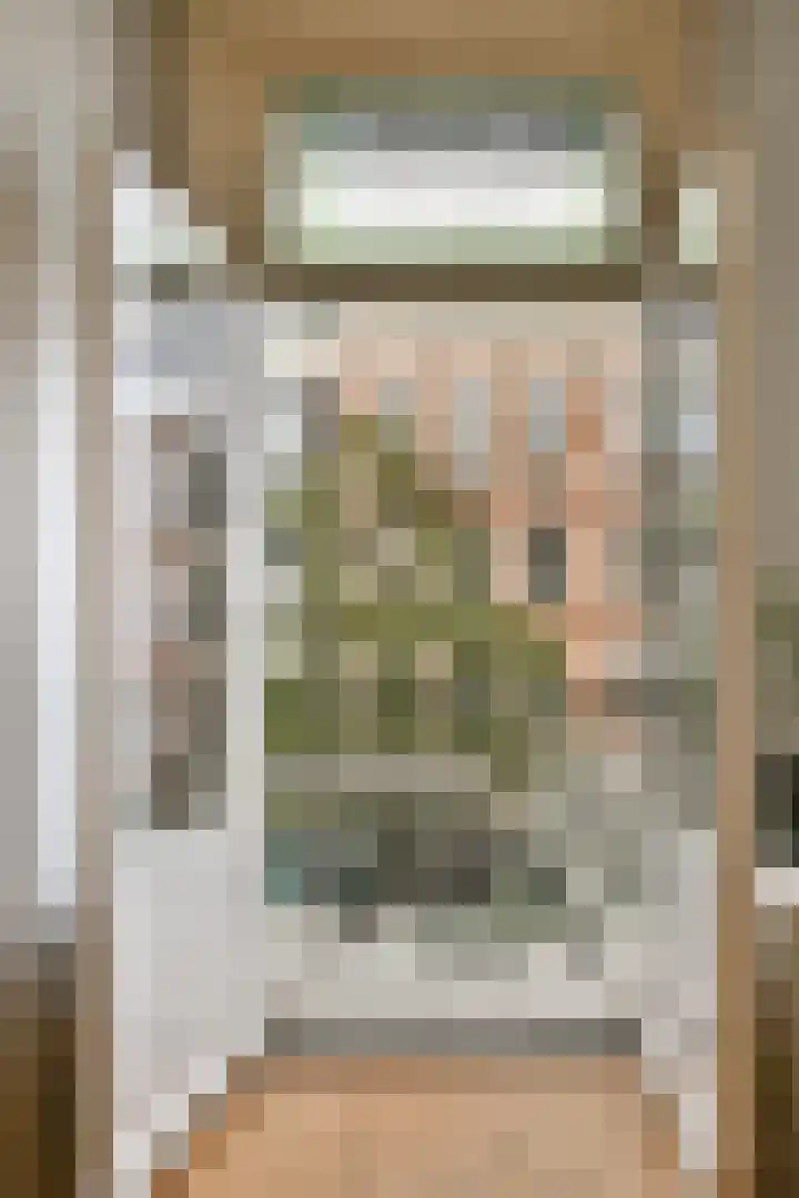 Hemonystraat 62 3 Amsterdam thumbnail 8