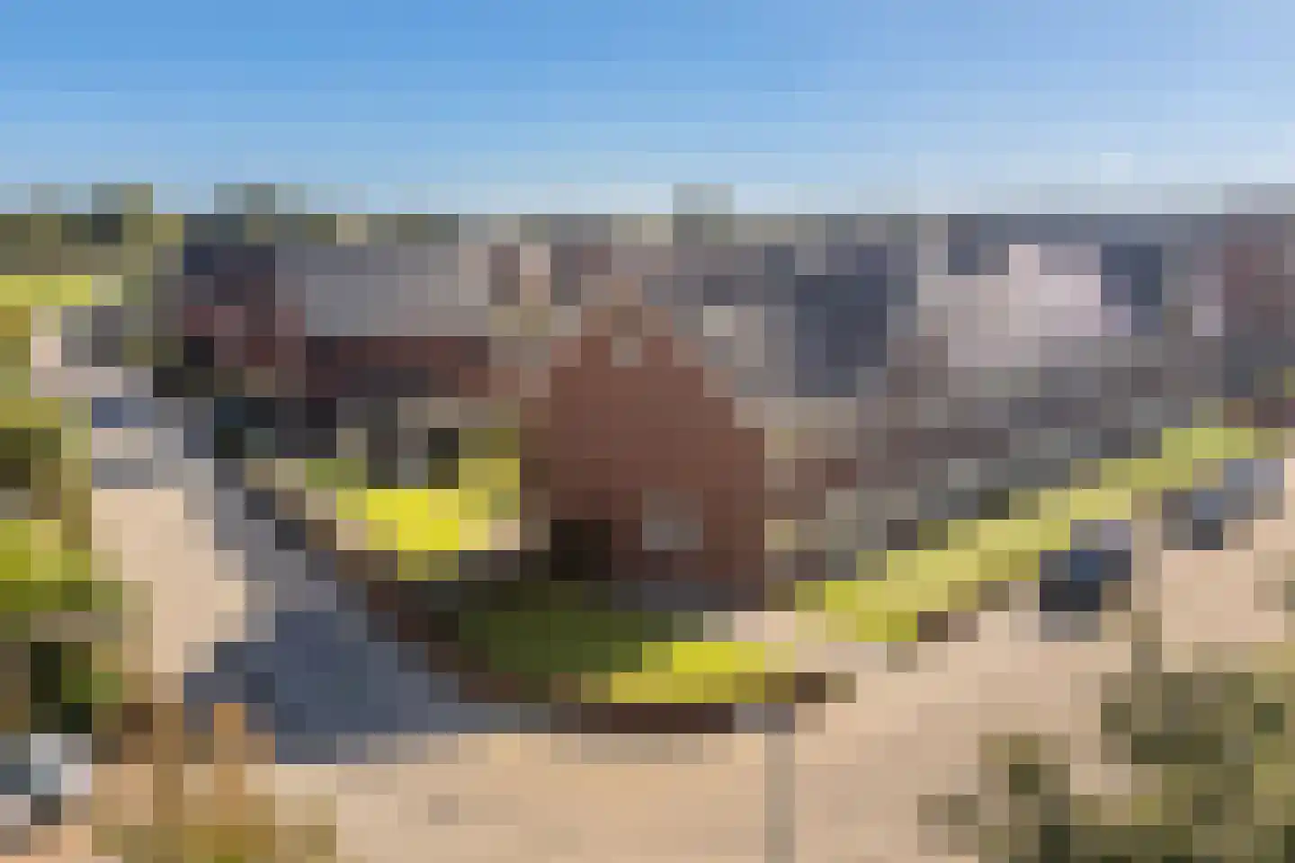 Hemrikkwartier 13 Emmen thumbnail 45