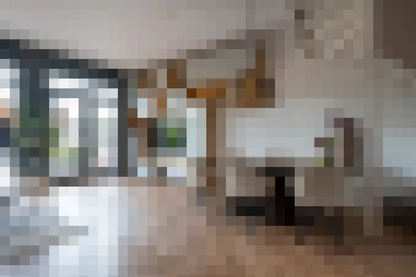 Hemrikkwartier 53 Emmen thumbnail 9