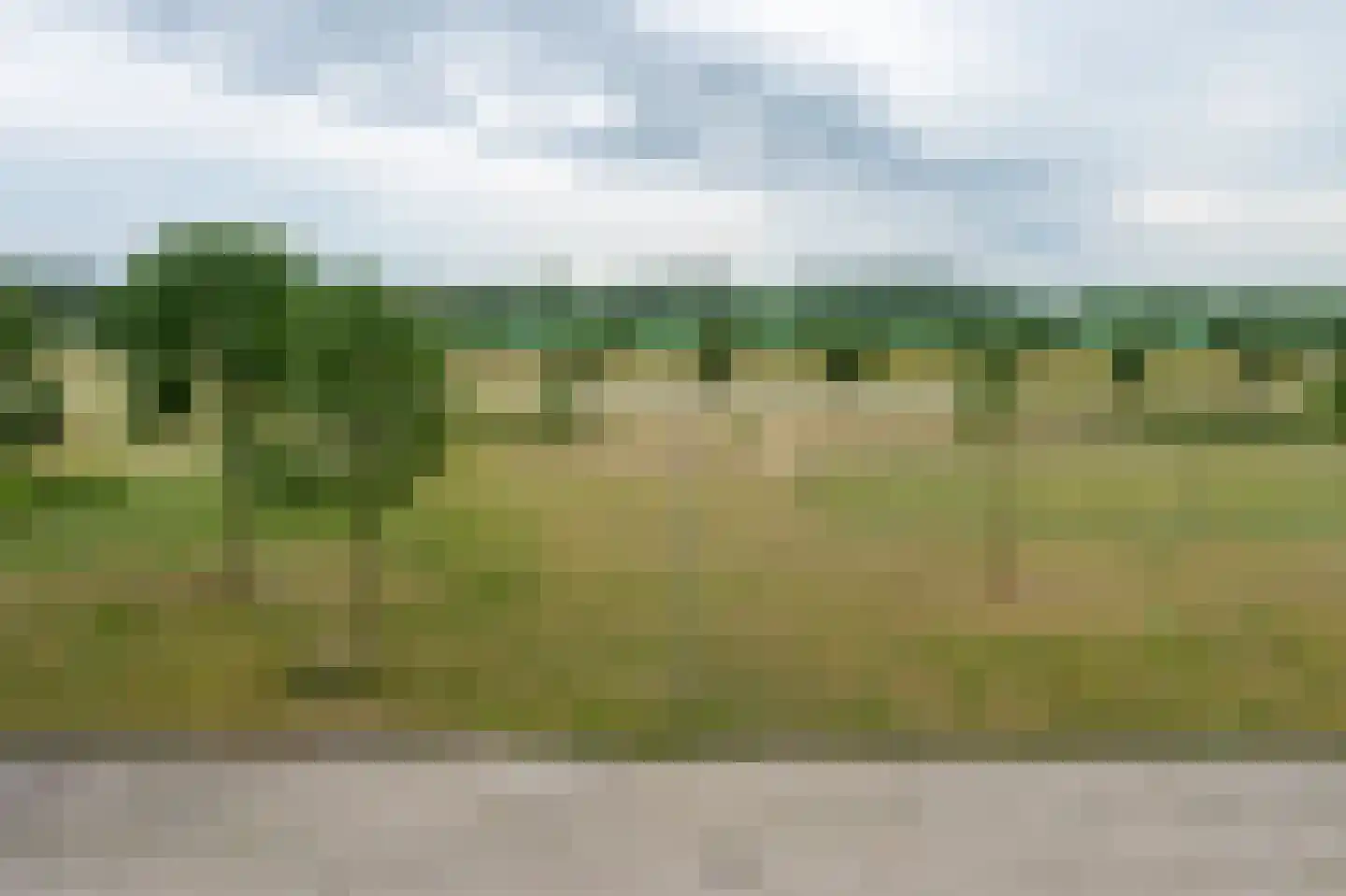 Hemrikkwartier 54 Emmen thumbnail 25