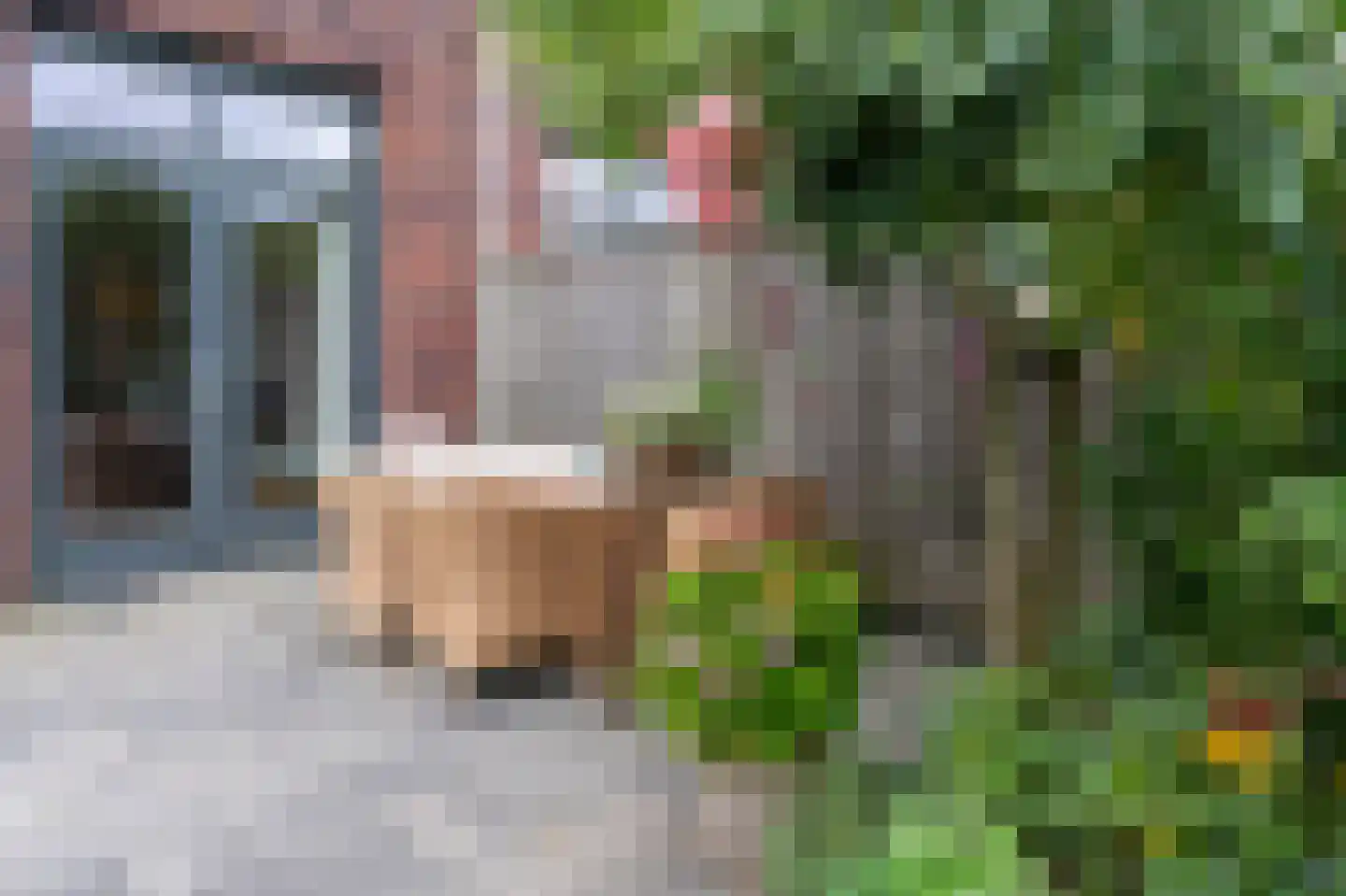 Hemrikkwartier 54 Emmen thumbnail 30