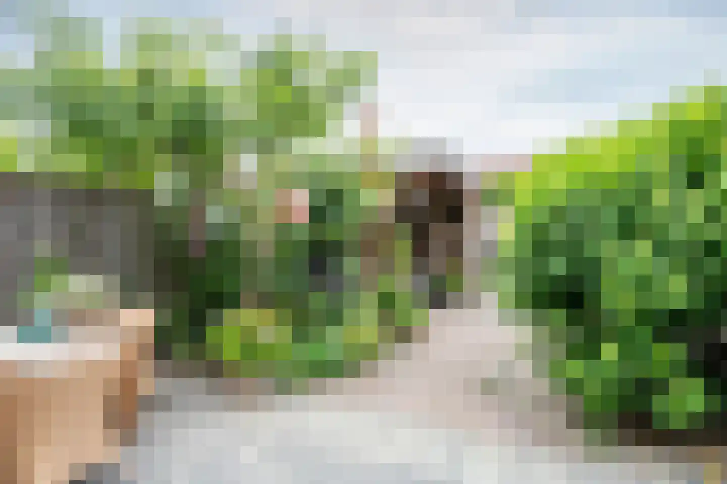 Hemrikkwartier 54 Emmen thumbnail 33