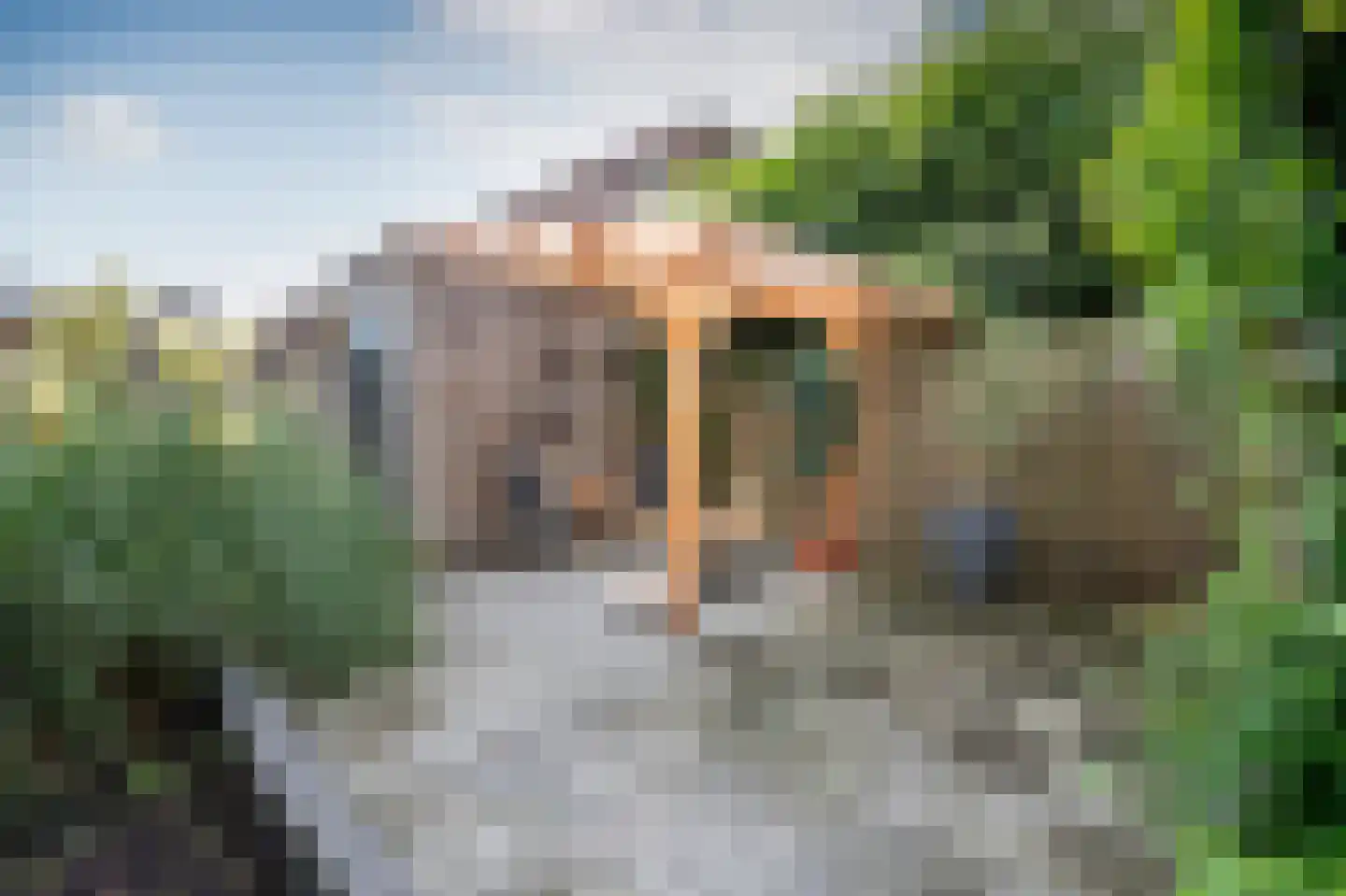 Hemrikkwartier 65 Emmen thumbnail 37