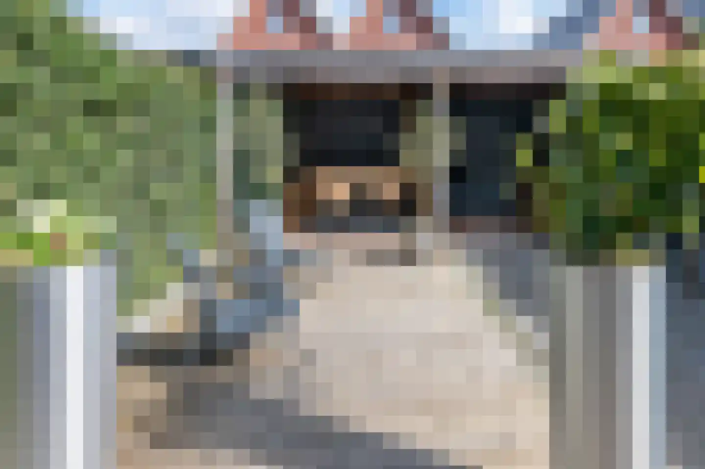 Hemrikkwartier 82 Emmen thumbnail 30