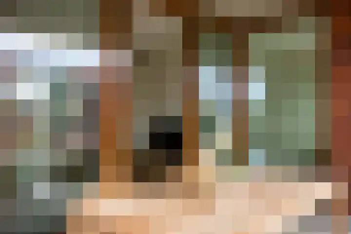Hemrikkwartier 84 B2 Emmen thumbnail 19