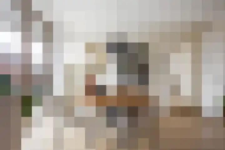 Hemrikkwartier 84 B2 Emmen thumbnail 25