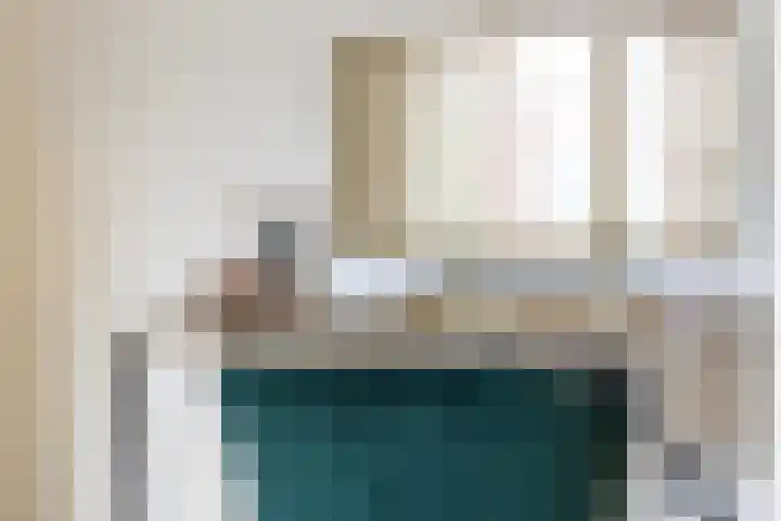 Hemrikkwartier 84 B2 Emmen thumbnail 34