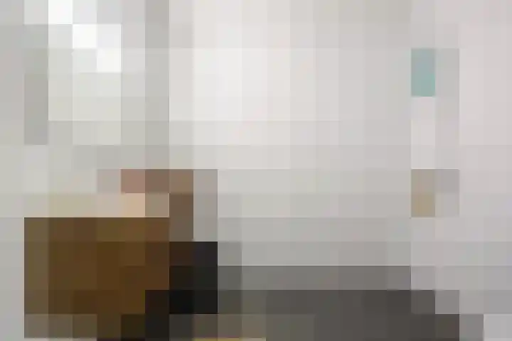 Hemrikkwartier 84 B2 Emmen thumbnail 39