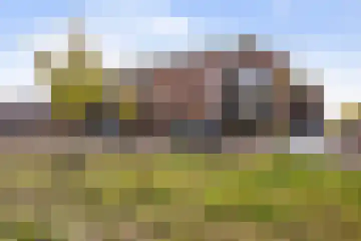 Hemrikkwartier 84 B2 Emmen thumbnail 50