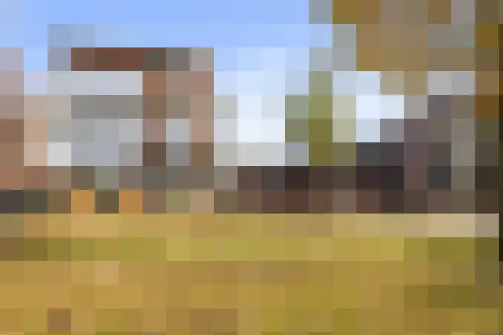 Hemrikkwartier 84 B2 Emmen thumbnail 55