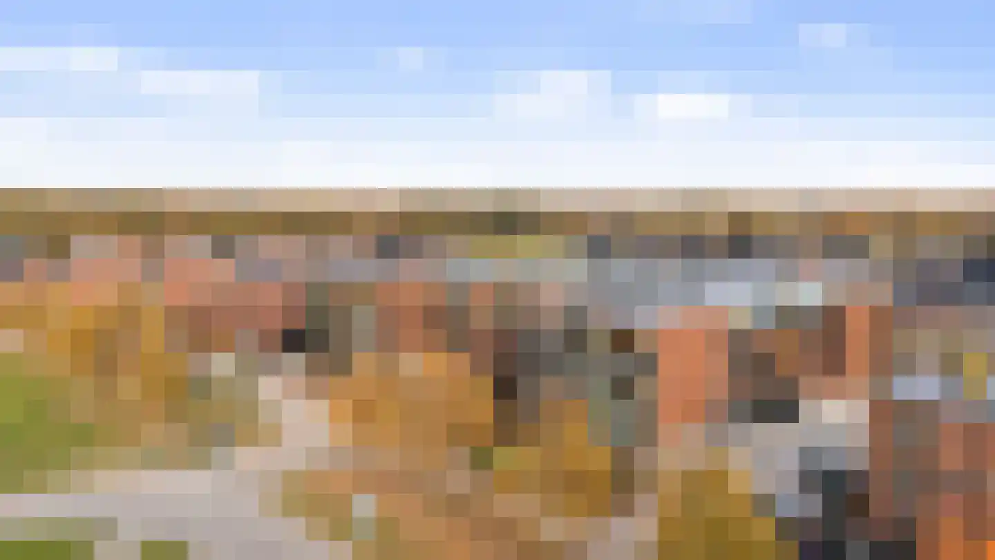 Hemrikkwartier 84 B3 Emmen