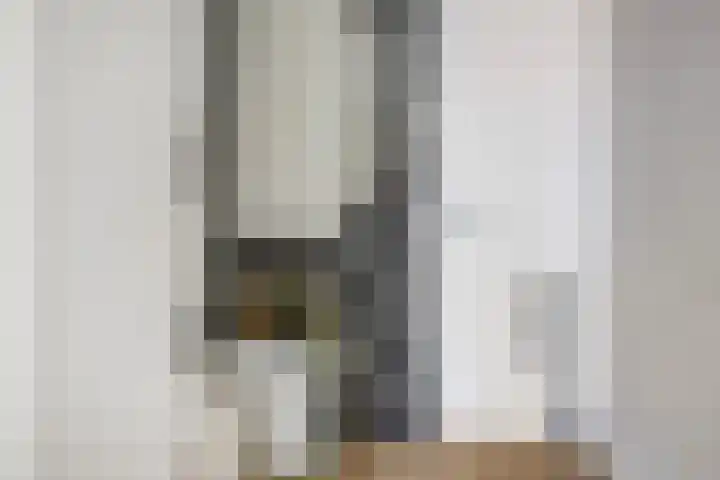 Hemrikkwartier 84 B4 Emmen thumbnail 30