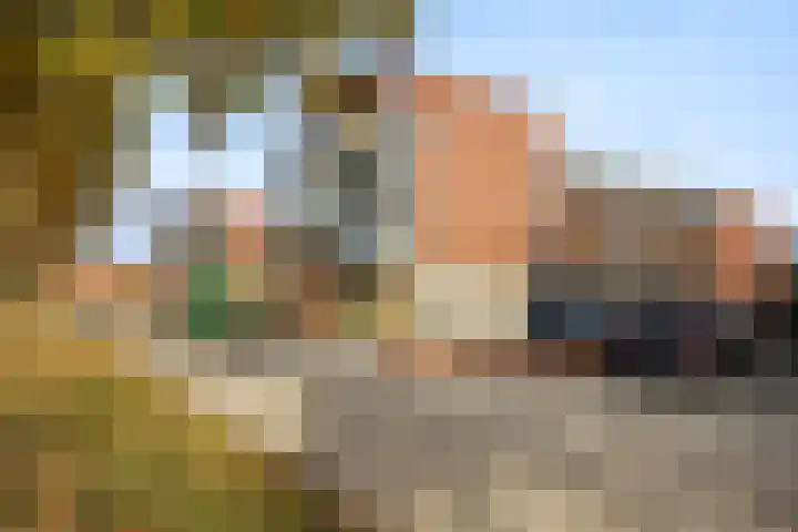 Hemrikkwartier 84 B4 Emmen thumbnail 46