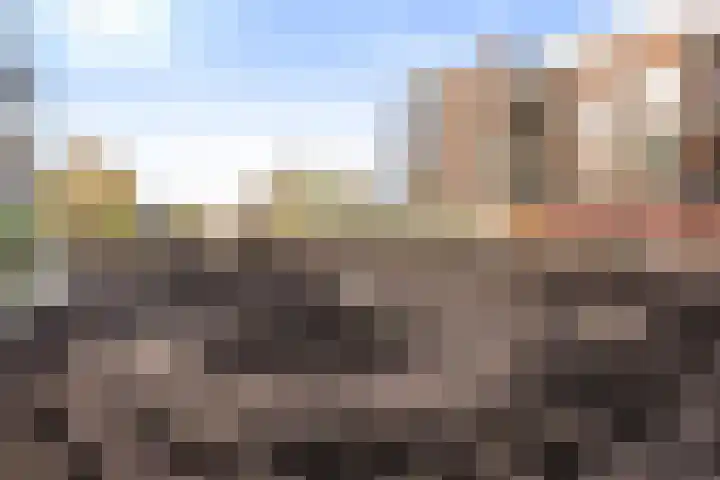 Hemrikkwartier 84 B4 Emmen thumbnail 8