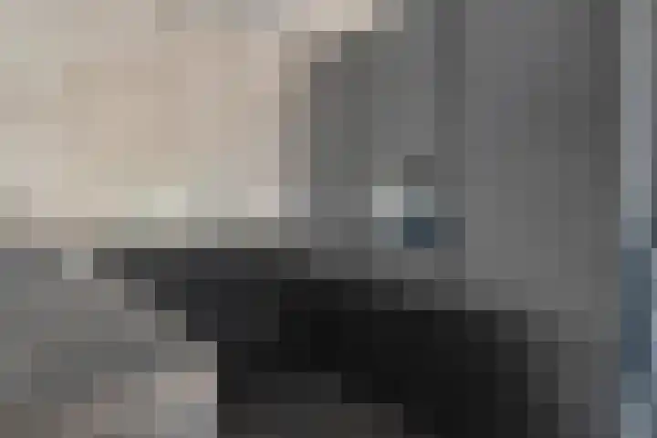 Hemrikkwartier 84 C3 Emmen thumbnail 20