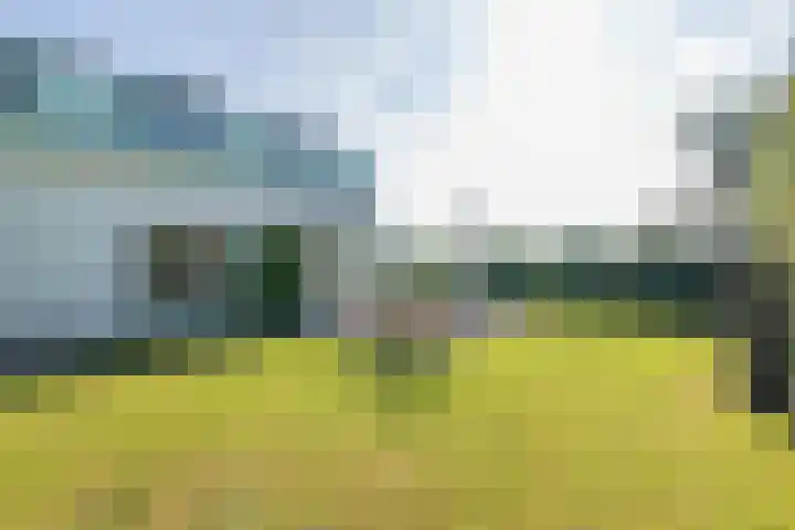 Hemsinck 14 Noordwijk thumbnail 25