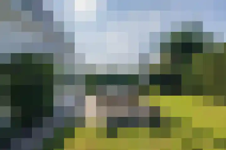 Hemsinck 14 Noordwijk thumbnail 26