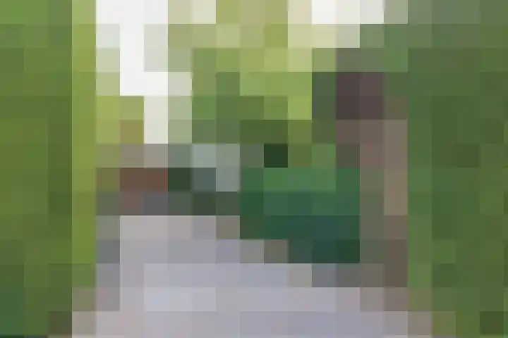 Hemsinck 14 Noordwijk thumbnail 4