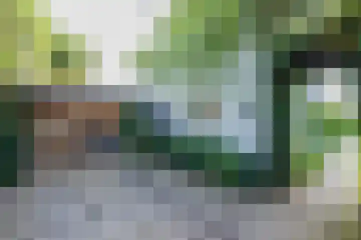Hemsinck 14 Noordwijk thumbnail 5