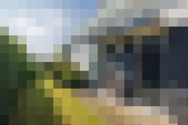 Hemsinck 14 Noordwijk thumbnail 6
