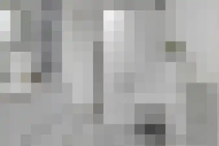 Hemsinge 19 Zuidlaren thumbnail 5