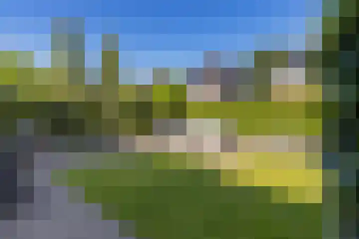 Hemsinge 19 Zuidlaren thumbnail 6