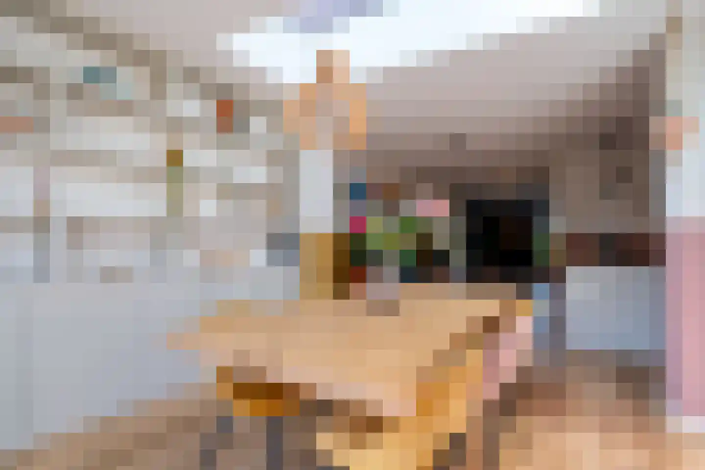 Hemsinge 22 Zuidlaren thumbnail 21
