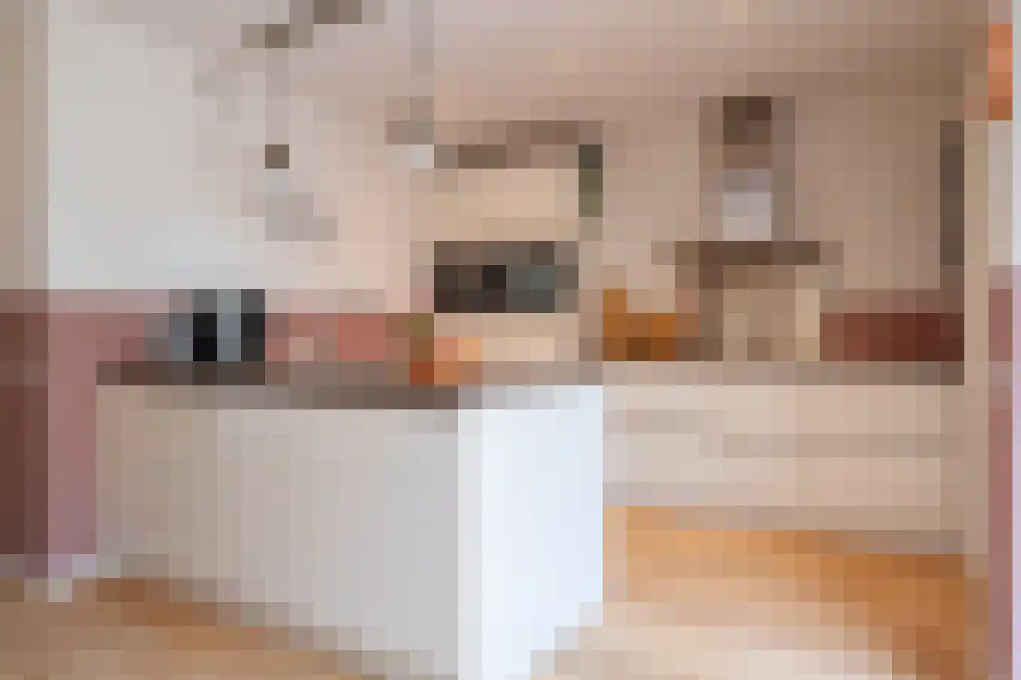 Hemsinge 22 Zuidlaren thumbnail 23