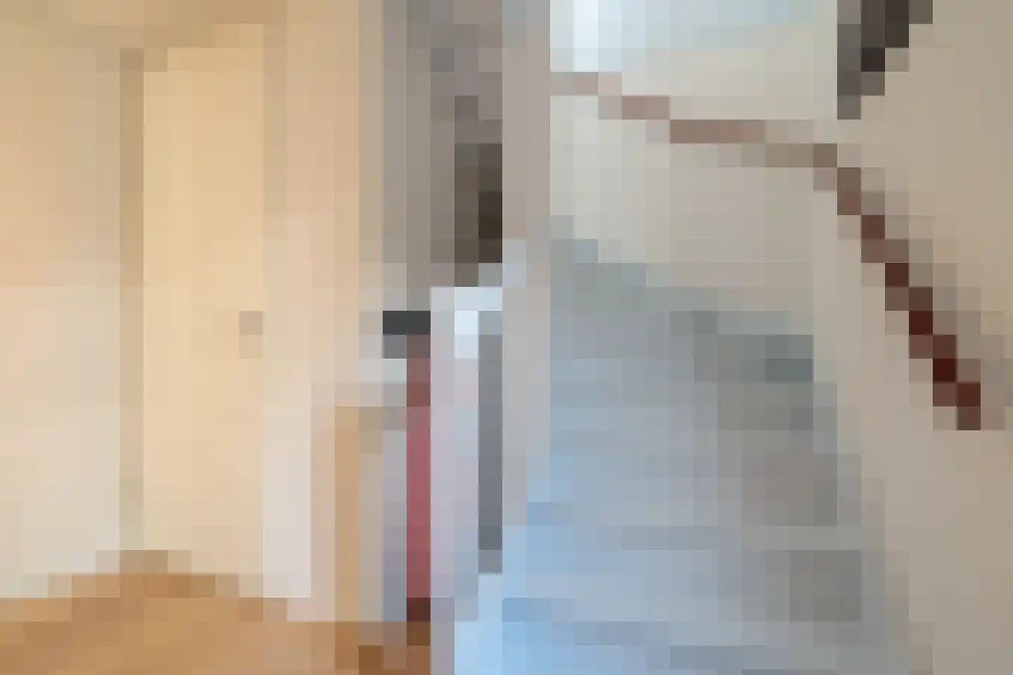 Hemsinge 22 Zuidlaren thumbnail 31