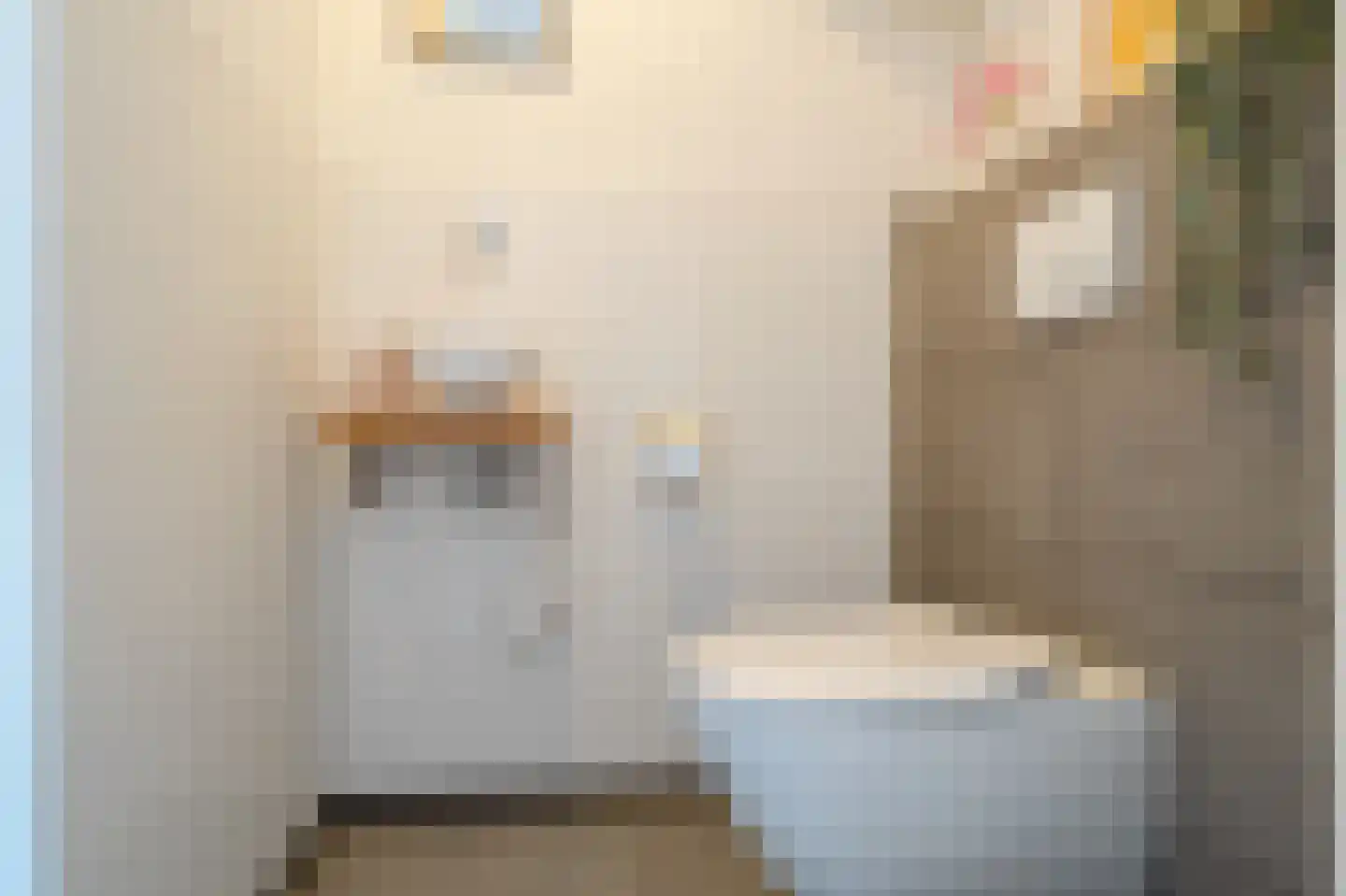 Hemsinge 22 Zuidlaren thumbnail 32