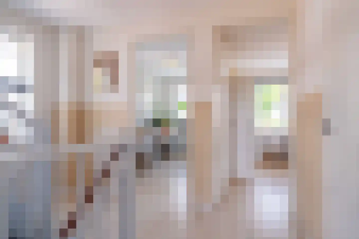 Hemsinge 22 Zuidlaren thumbnail 39