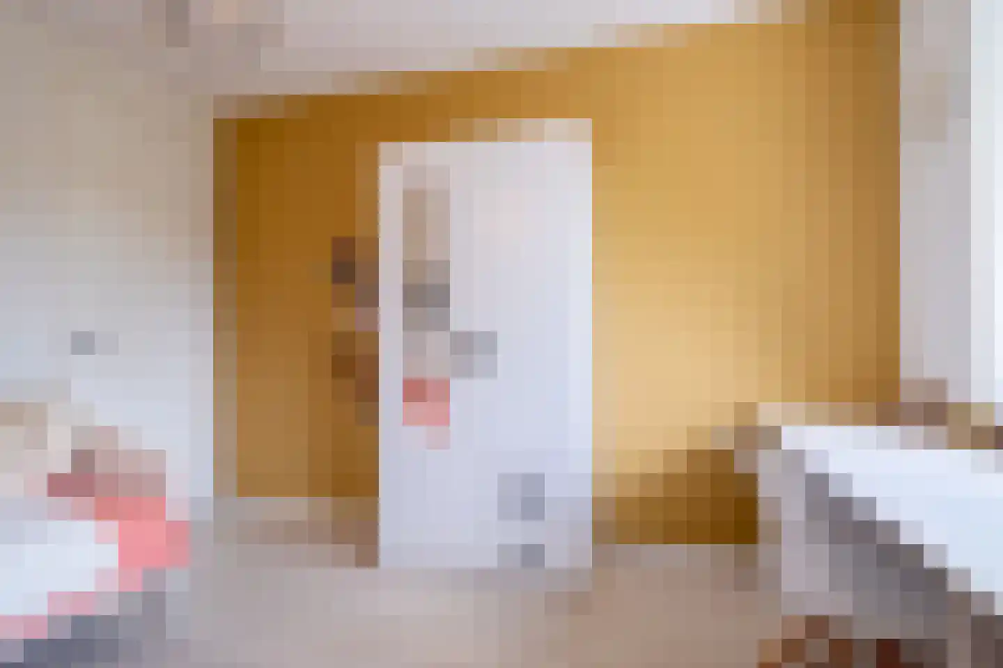 Hemsinge 22 Zuidlaren thumbnail 42