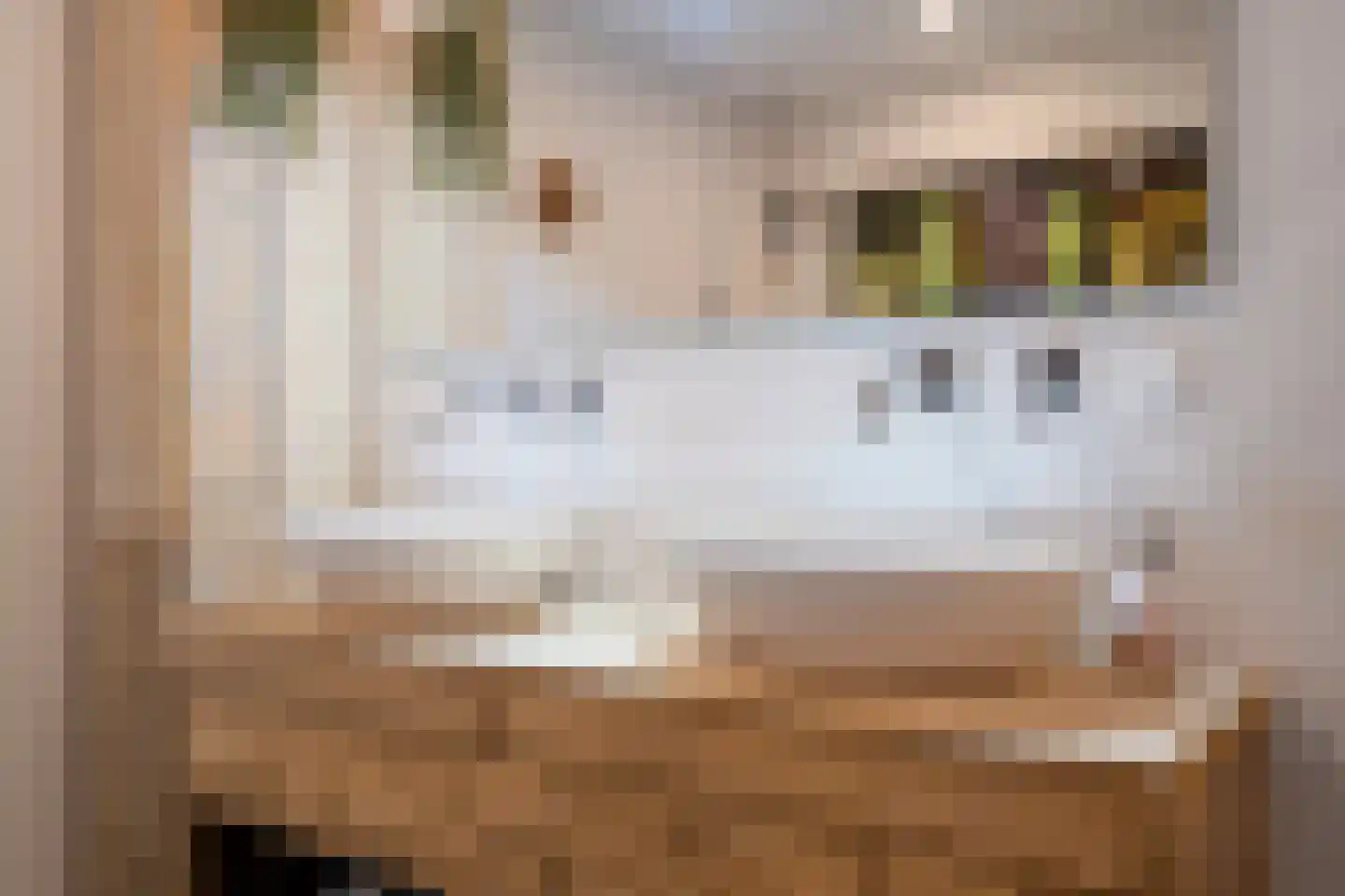 Hemsinge 22 Zuidlaren thumbnail 47