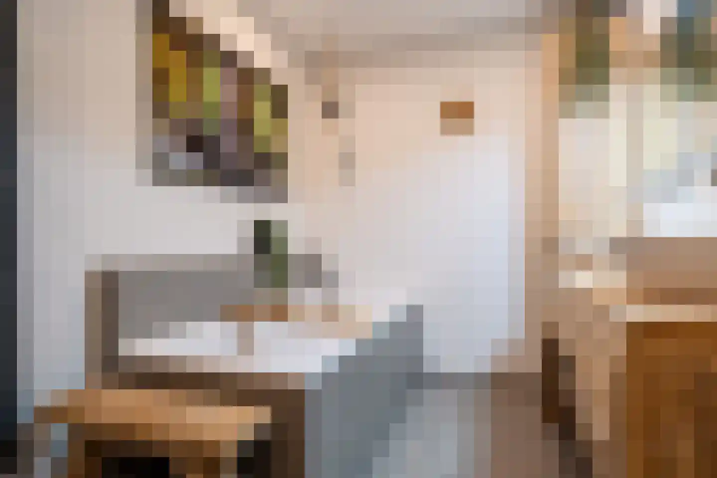 Hemsinge 22 Zuidlaren thumbnail 48