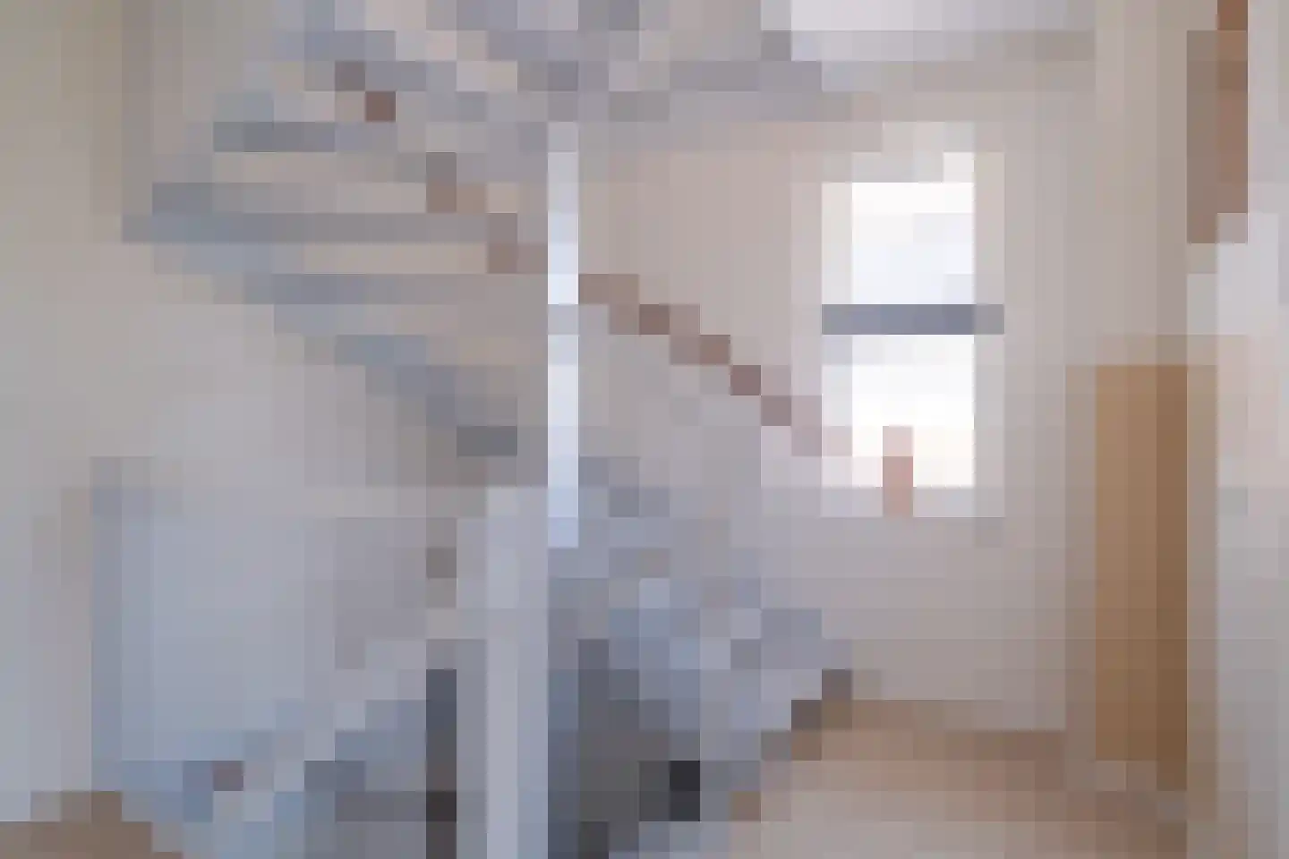 Hemsinge 22 Zuidlaren thumbnail 51