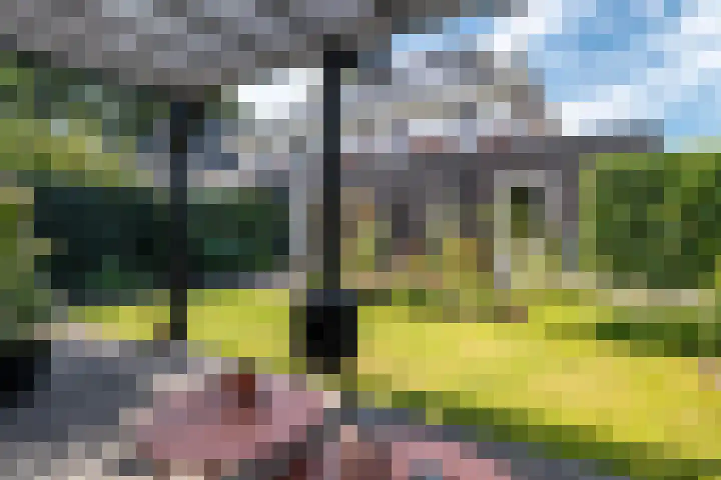 Hemsinge 22 Zuidlaren thumbnail 59