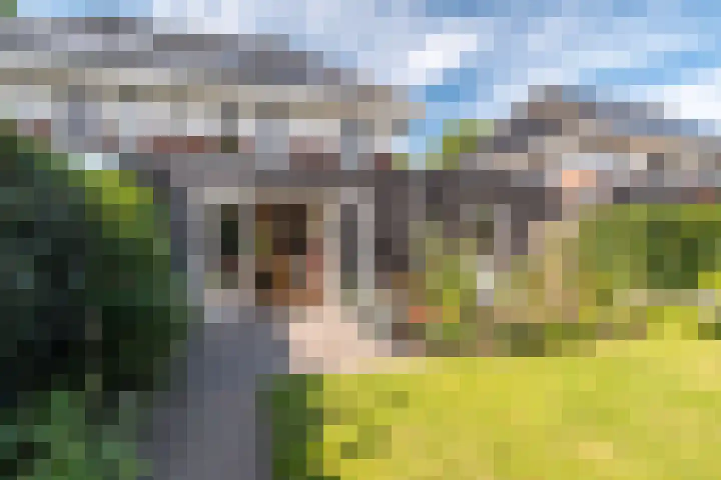 Hemsinge 22 Zuidlaren thumbnail 61