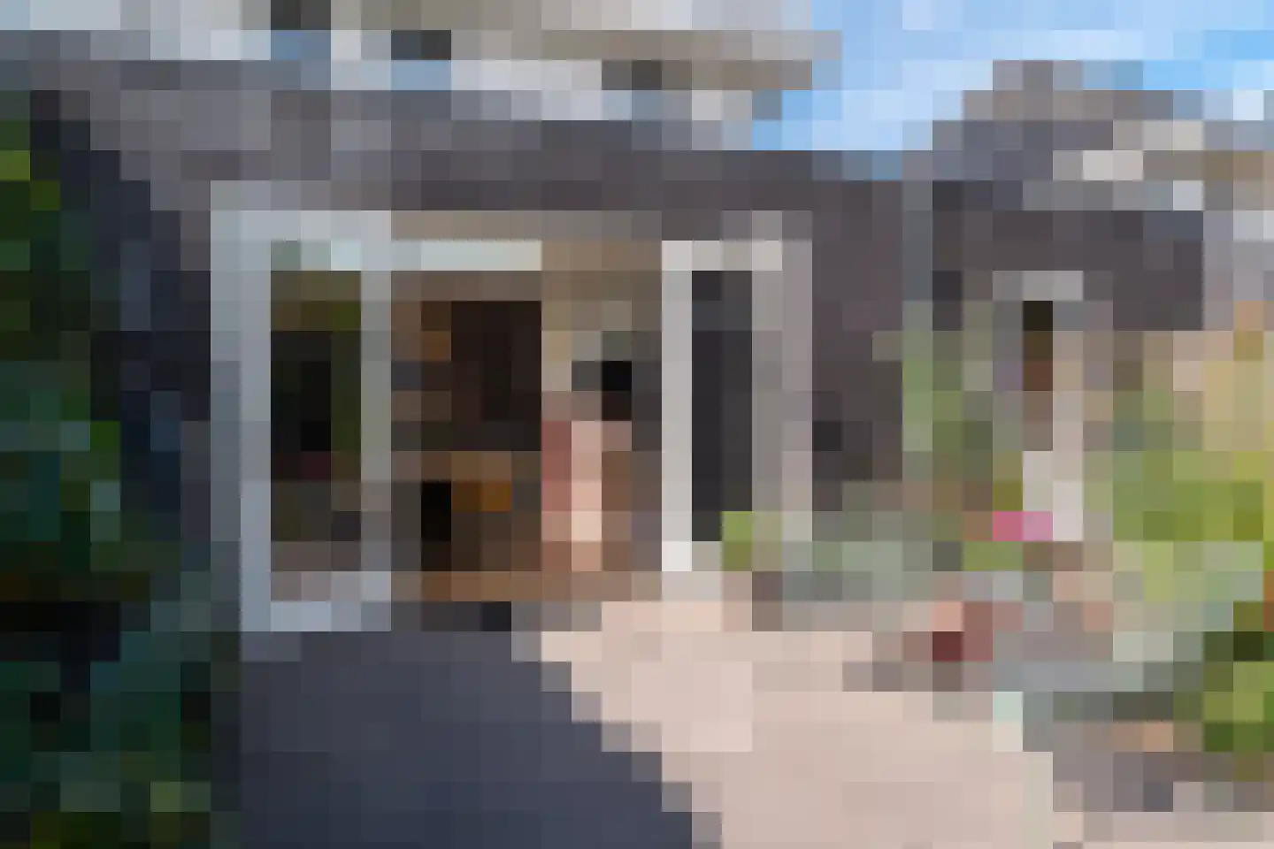 Hemsinge 22 Zuidlaren thumbnail 62