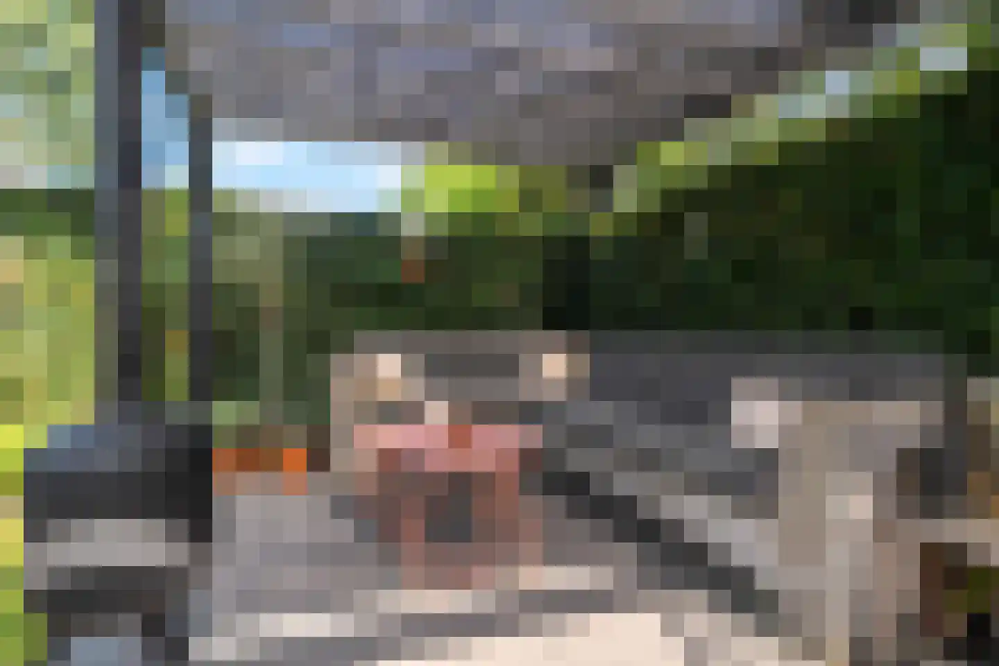 Hemsinge 22 Zuidlaren thumbnail 65